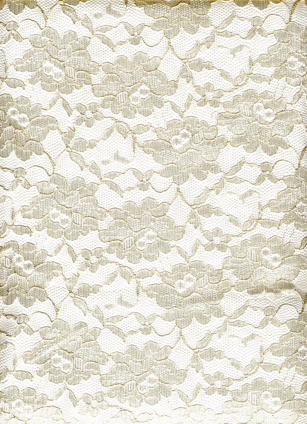 Lace Cream on White