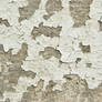 Peeling Paint on Concrete 1