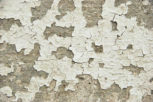 Peeling Paint on Concrete 1