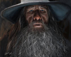 Gandalf the Gray