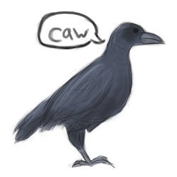 it is a crow