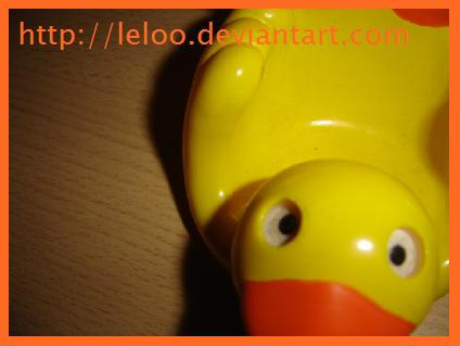 Canard en plastOck