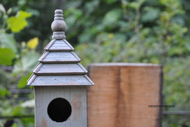 Bird House