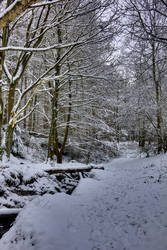 Otley Chevin January 2013 2