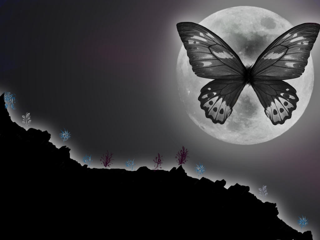 Песни бабочка ночь. Бабочка Луна. Бабочка арт. Спокойной ночи бабочки. Грустная бабочка.