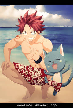 Fairy Tail Beach party : Natsu Dragneel