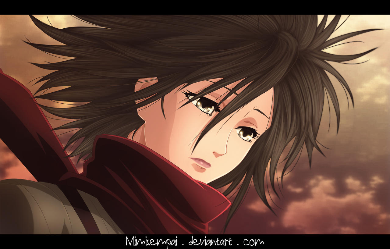 Shingeki No Kyojin : Mikasa_If sadness had a face.