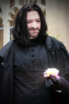 Snape's Rose