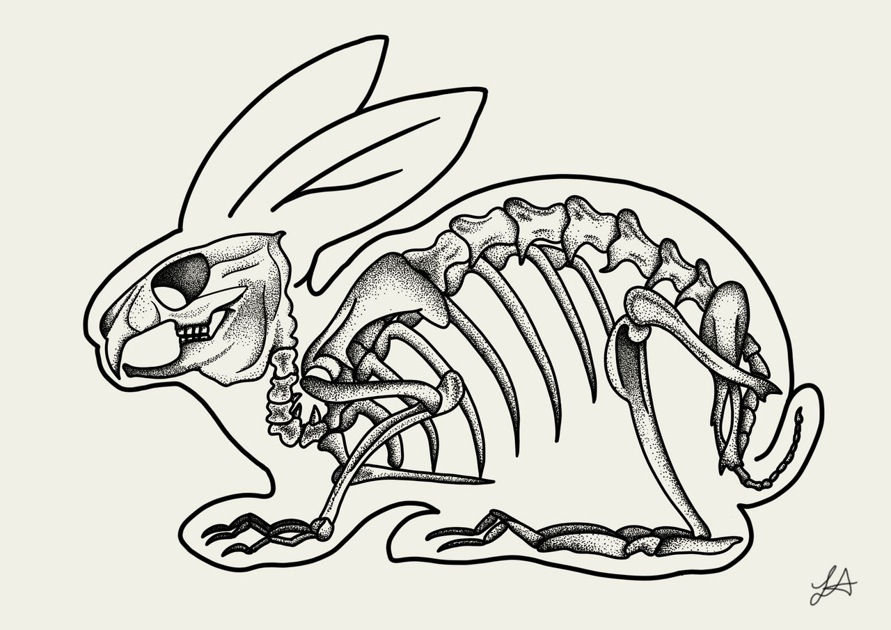 Rabbit Skeleton by CraftedByTheMoon on DeviantArt