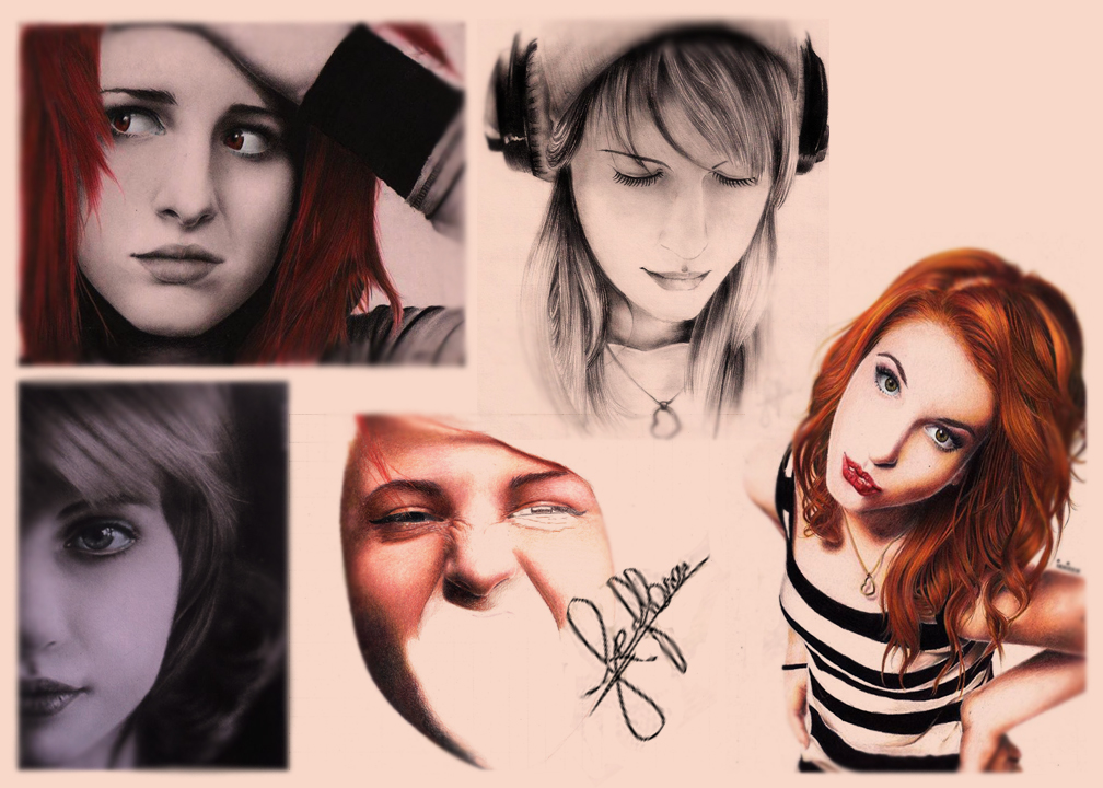 Hayley Collection