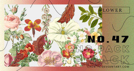 png pack47 Flower by Chen-Ye