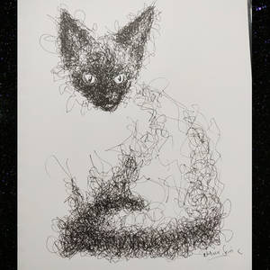 Cat scribble art