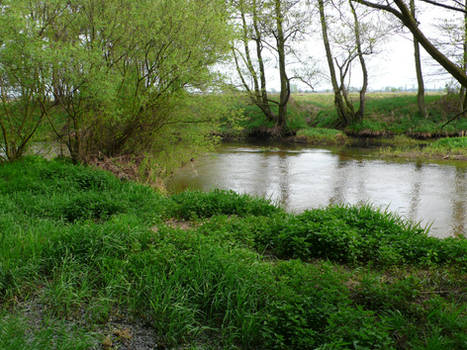 By the river