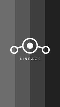 LINEAGEOS GREY