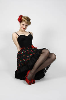 Cherry Cheescake Pin-up