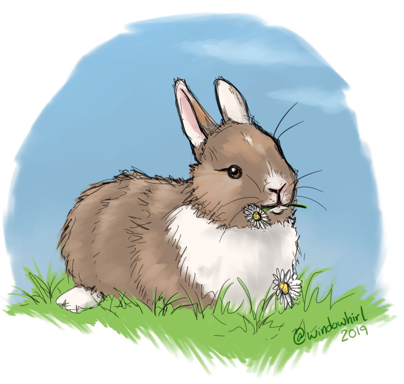Daisy Rabbit by windowhirl on DeviantArt
