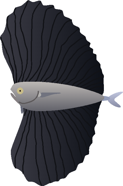 Pacific Fanfish by FelipeSagaz on DeviantArt