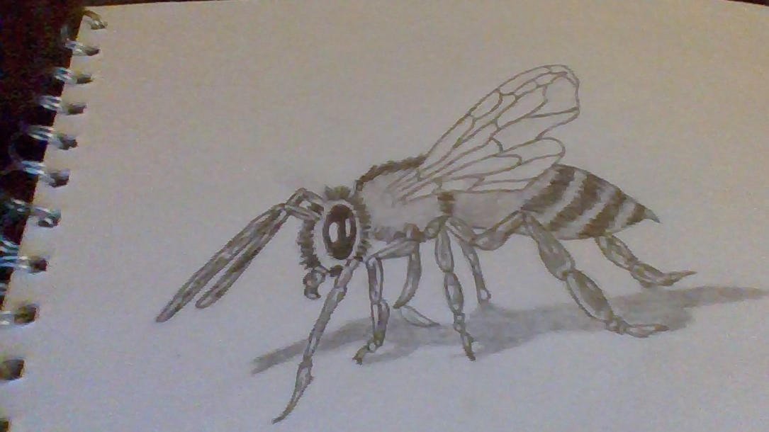 Bee