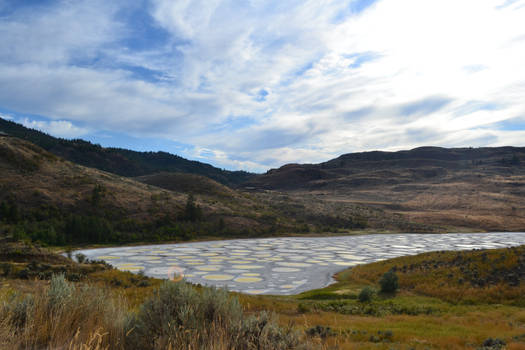 Spotted Lake