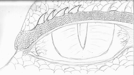 -Sketch Book- Dragon Eye