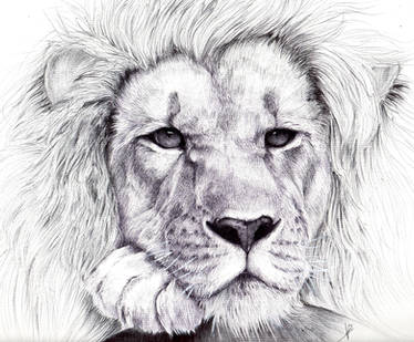 Lion BIC pen