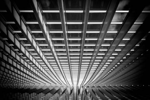 La-gare-des-Guillemins-1