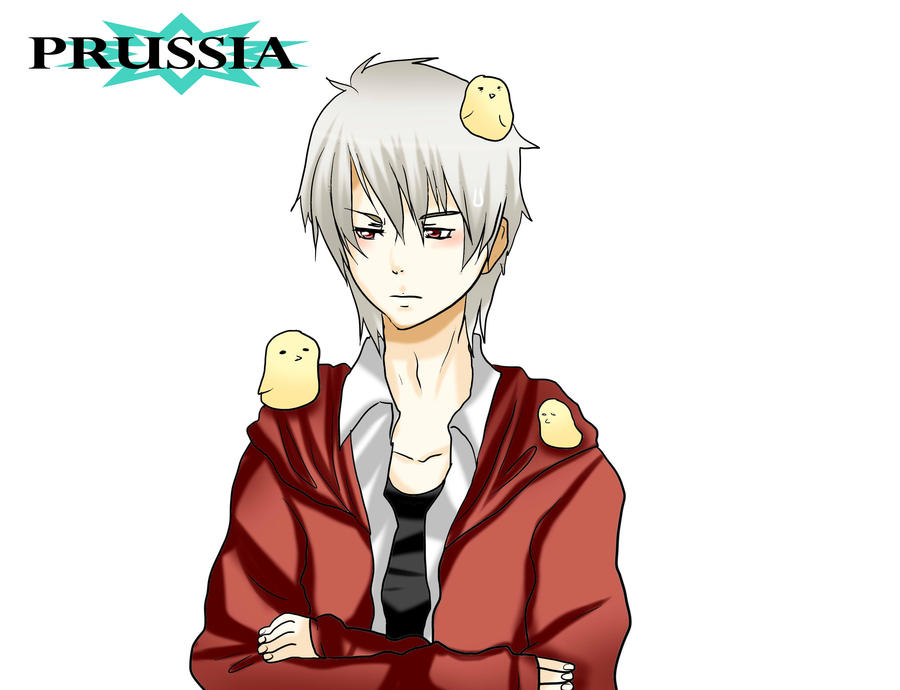 Awesome Prussia with long hair