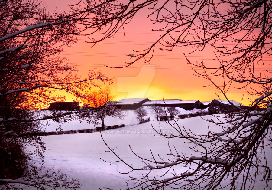 Snowy Sunset