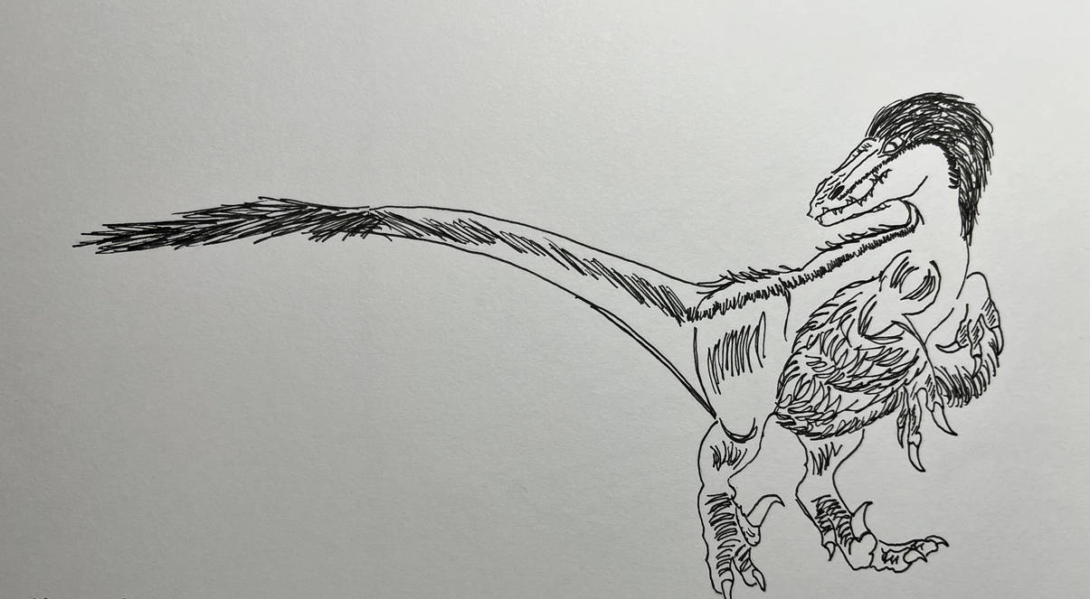 Utah Raptor by eds345567 on DeviantArt