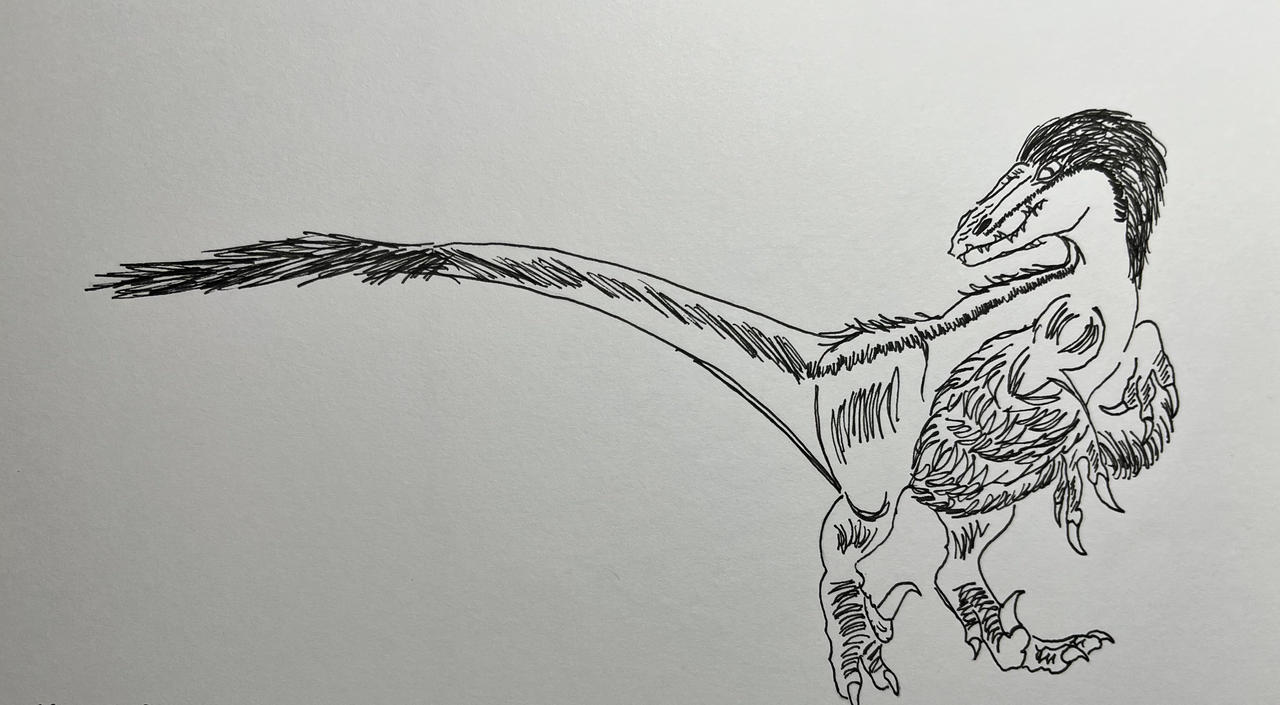 Utah Raptor Outlines Utah Raptor by eds345567 on DeviantArt