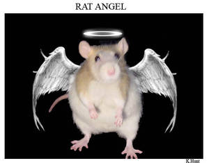 Rat Angel by Rosesburn