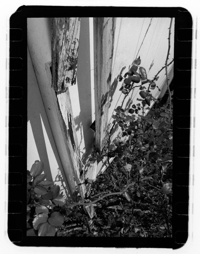 Rose rack by jason611 on DeviantArt