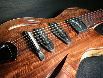 Dragonfly Guitar 045