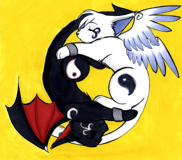 Yin Yang Feli Art