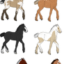 Draft Foal Adoptables