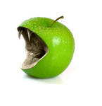Green apple by Cllaud