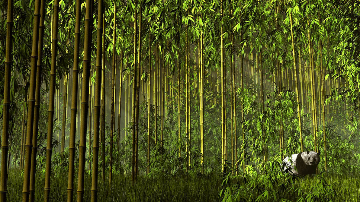 Bamboo Forest by xmas-kitty