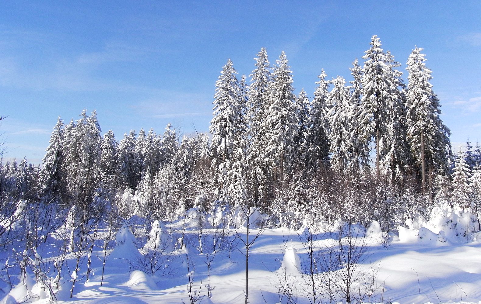 Sunshine and Snow