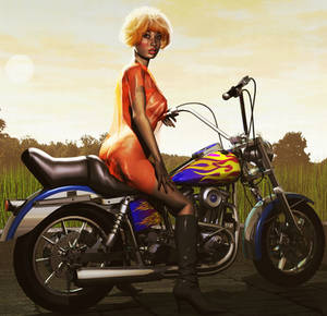 Biker Pin Up by xmas-kitty