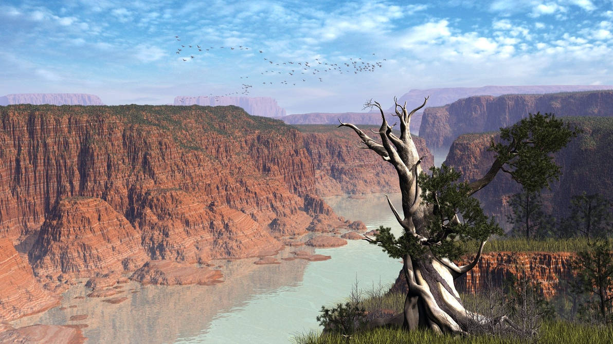 Ancient Pine in Front of the Canyon by xmas-kitty Ancient Pine in Front of the Canyon by xmas-kitty