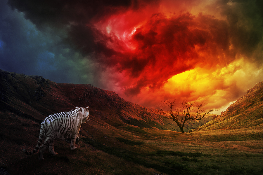 The White Tiger of Autumn by kevinleedrum