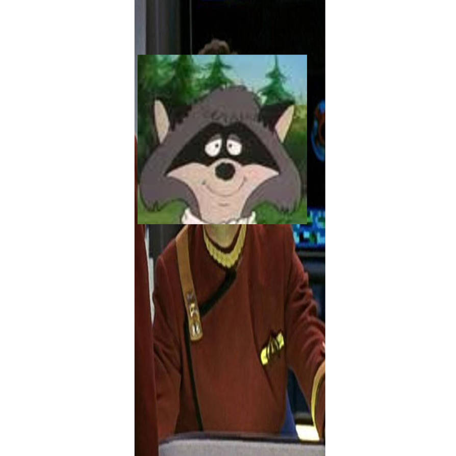 Captain Red Raccoons Lieutenant Commander Ralph Raccoon by JDayton on DeviantArt