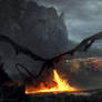 Dragons