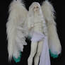 Angel Wings_2