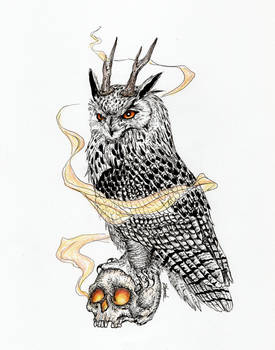 Owl with skull and antlers