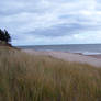 Beach Stock 33