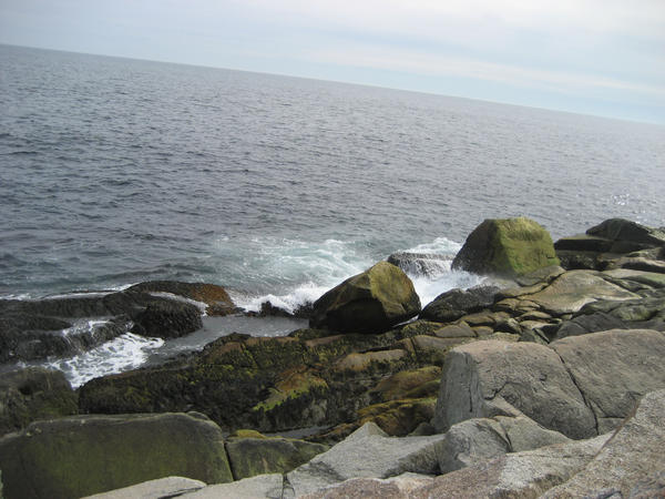 On the Rocks stock 10