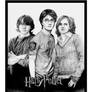 HP4 trio