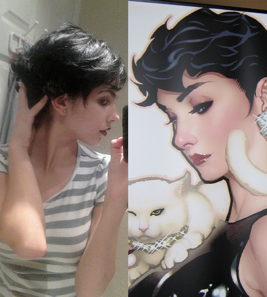 Adam hughes catwoman