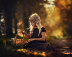 The autumn has come